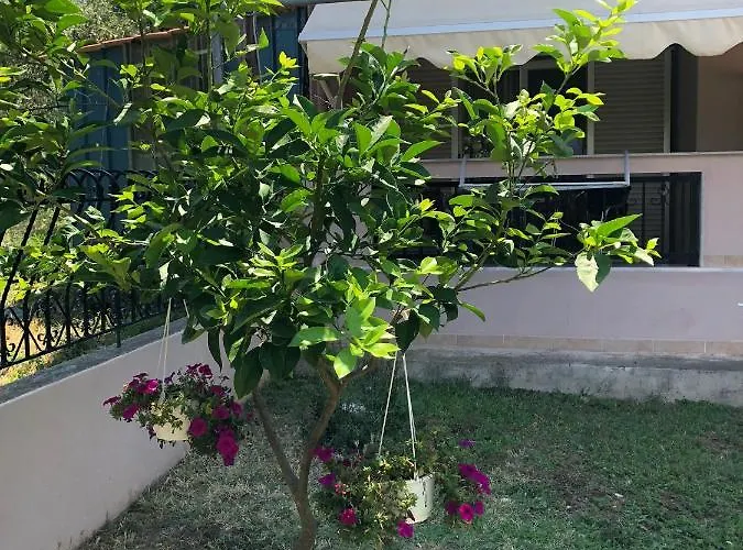 Mary 1 & Fresh! 3* Skala Sotiros